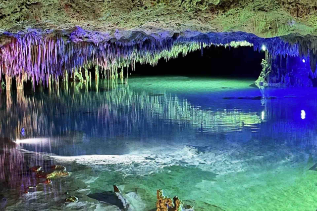 Explora los Cenotes de la Riviera Maya: un mundo subterráneo increíble