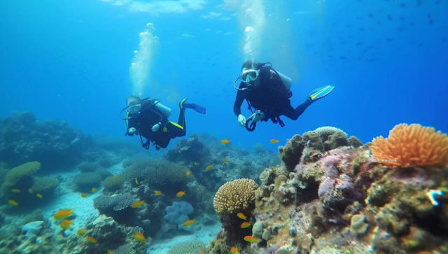 actividades acuaticas en cancun2