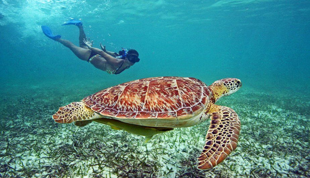 i migliori tour di Cancun1