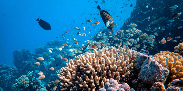 i migliori tour di Cancun5