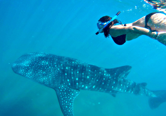 i migliori tour di cancun7