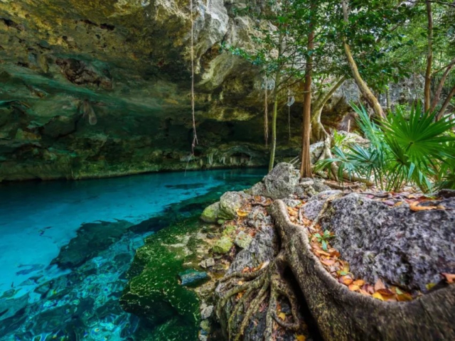 cancun para solitarios4