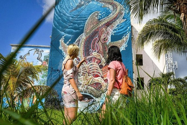 actividades unicas cancun4