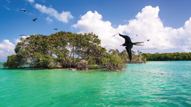 ecoturismo cancun4