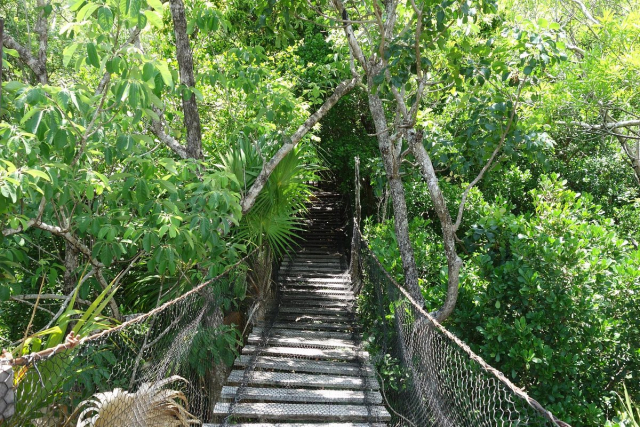 ecoturismo cancun6