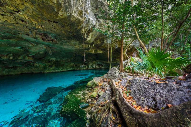 ecoturismo en cancun5
