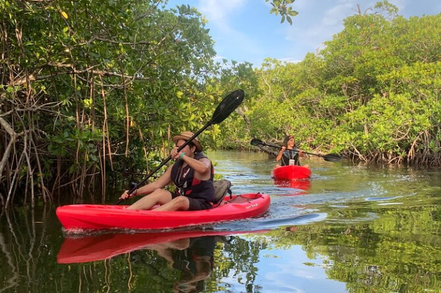 tour in kayak a cancun 1