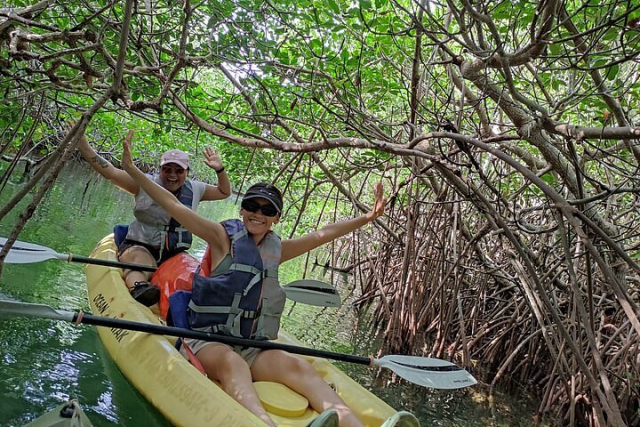 Excursiones en kayak por los manglares de Cancún: naturaleza y aventuras acuáticas