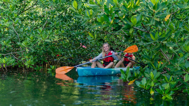 giro in kayak a cancun 6