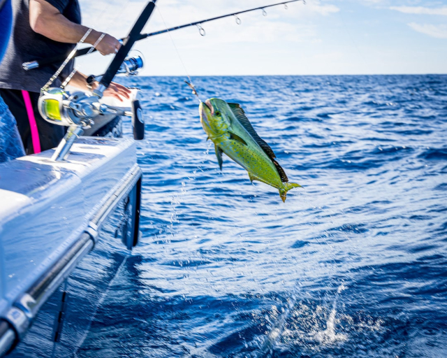 pesca deportiva en cancun 3