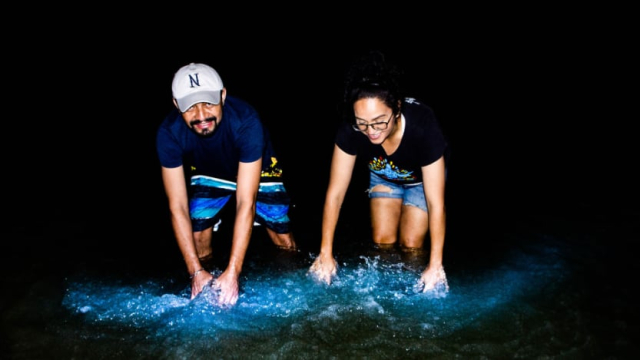 bioluminiscencia en cancun 2