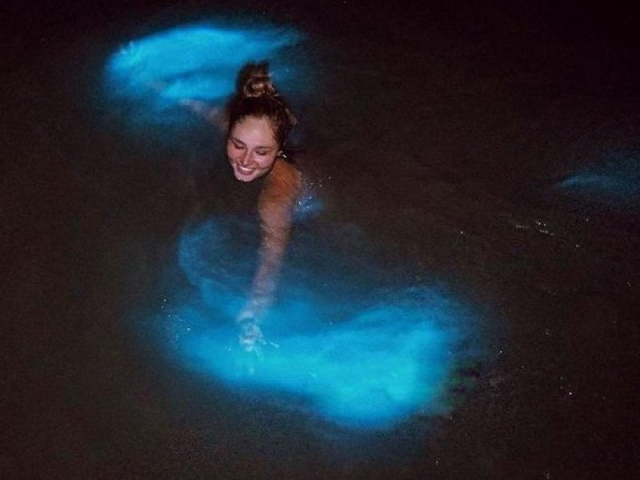 bioluminiscencia en cancun 5