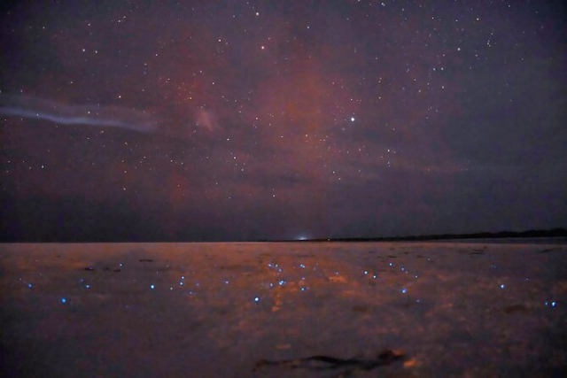bioluminiscencia en cancun6