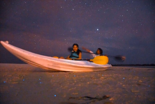 bioluminiscencia en cancun 8