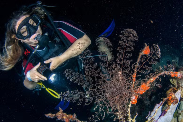 buceo en cancun 1