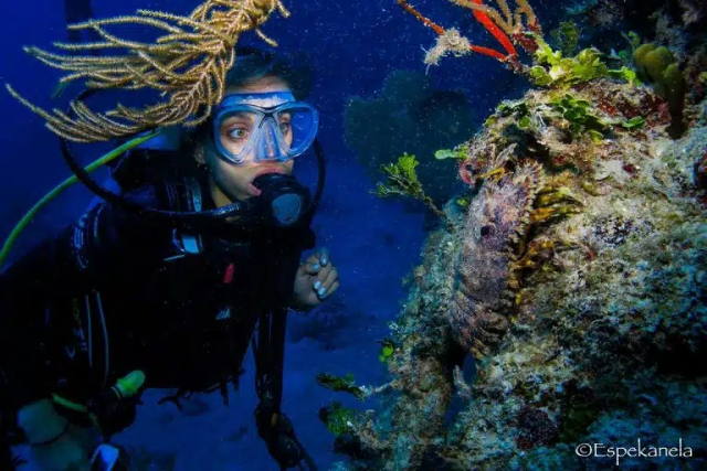 buceo cancun 2
